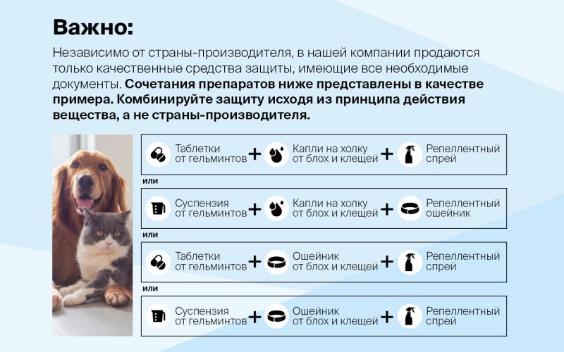 В ветаптеке нет привычного средства от паразитов? Подбираем другие препараты для защиты питомца