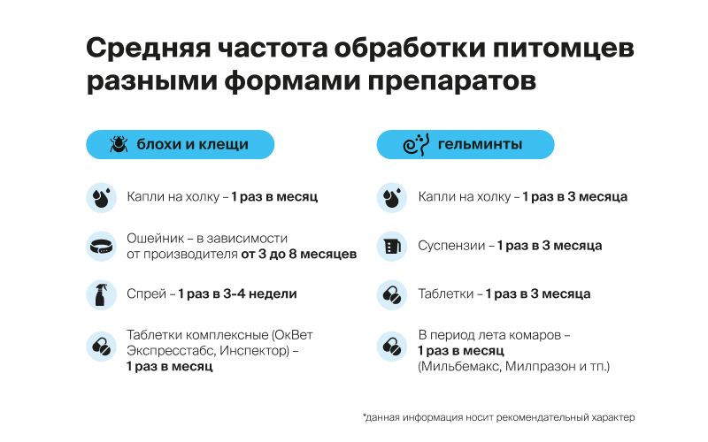 В ветаптеке нет привычного средства от паразитов? Подбираем другие препараты для защиты питомца