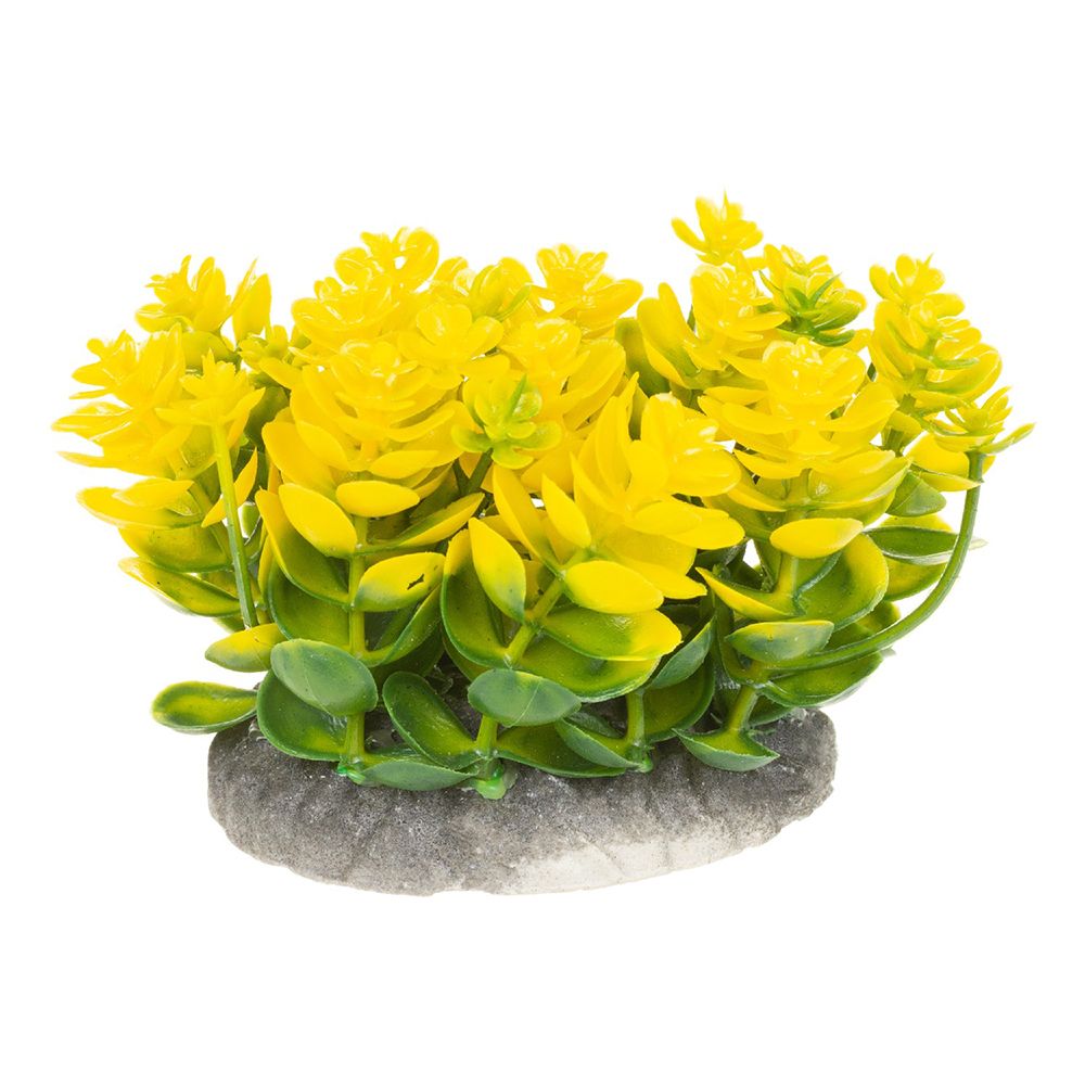 Растение желтое 8082D 10x10x8cm Растение желтое 8082D 10x10x8cm