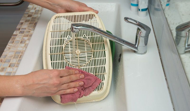 Как устранить запах кошачьей мочи? Как устранить запах кошачьей мочи?