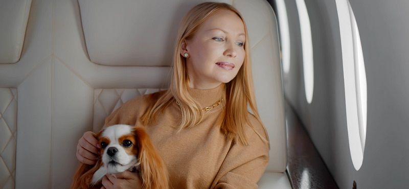 Путешествуем вместе с питомцами: правила перевозки животных в самолете и поезде