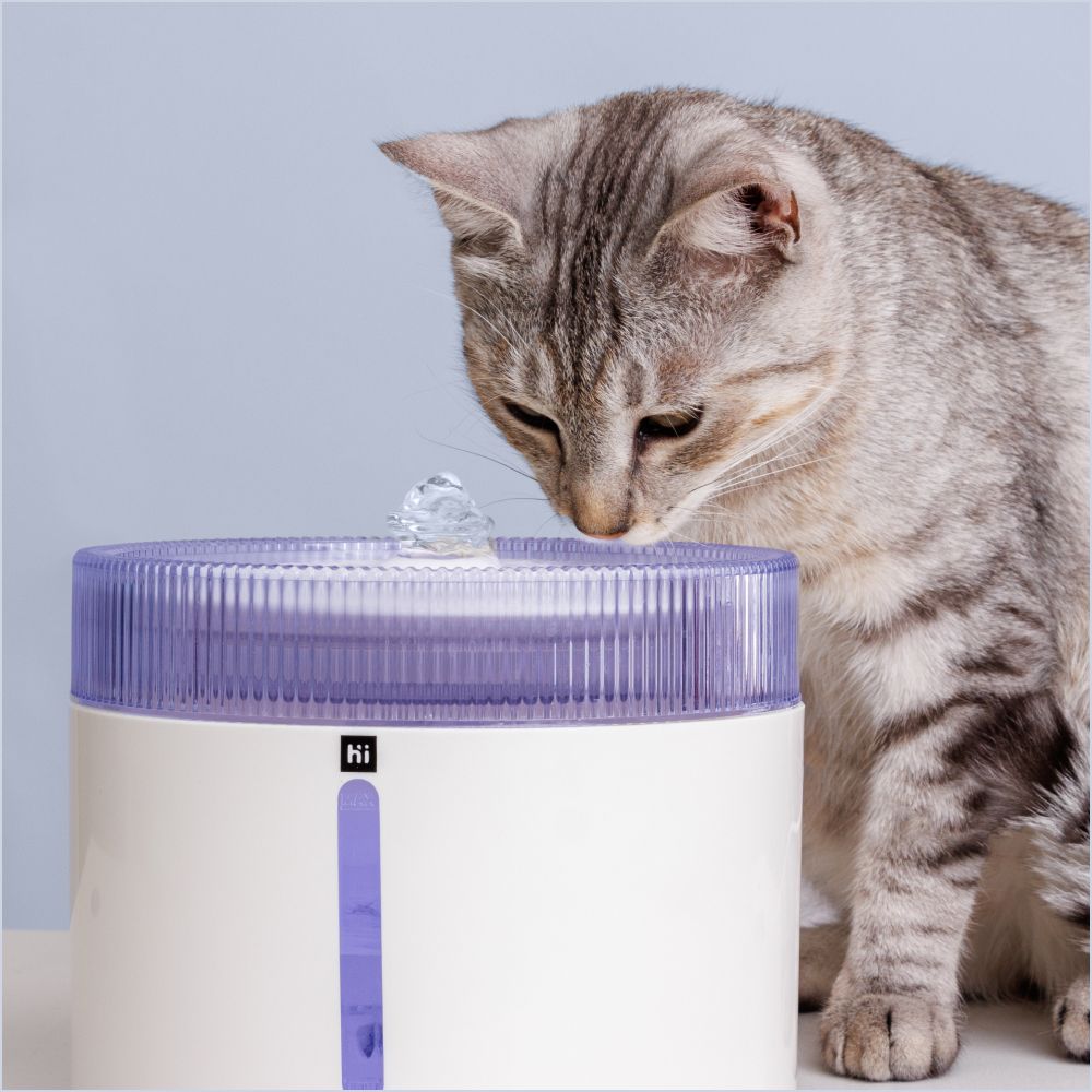 HiPet Фонтанчик для кошек и собак, 2 л, белый