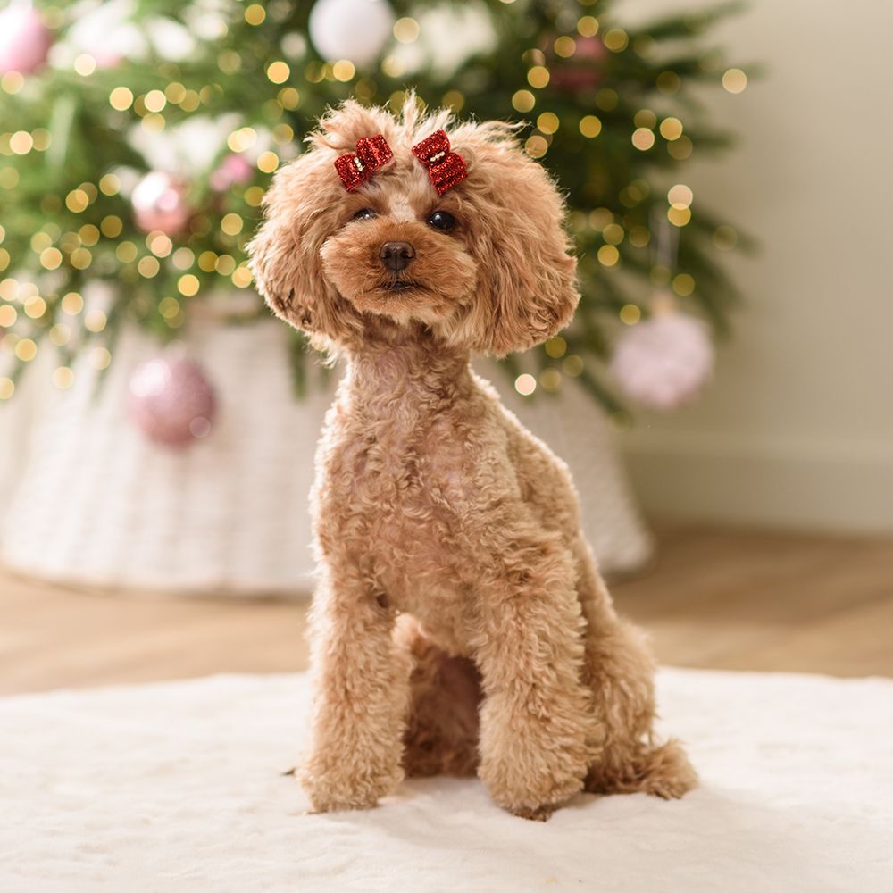 Контровое освещение Контровое освещение