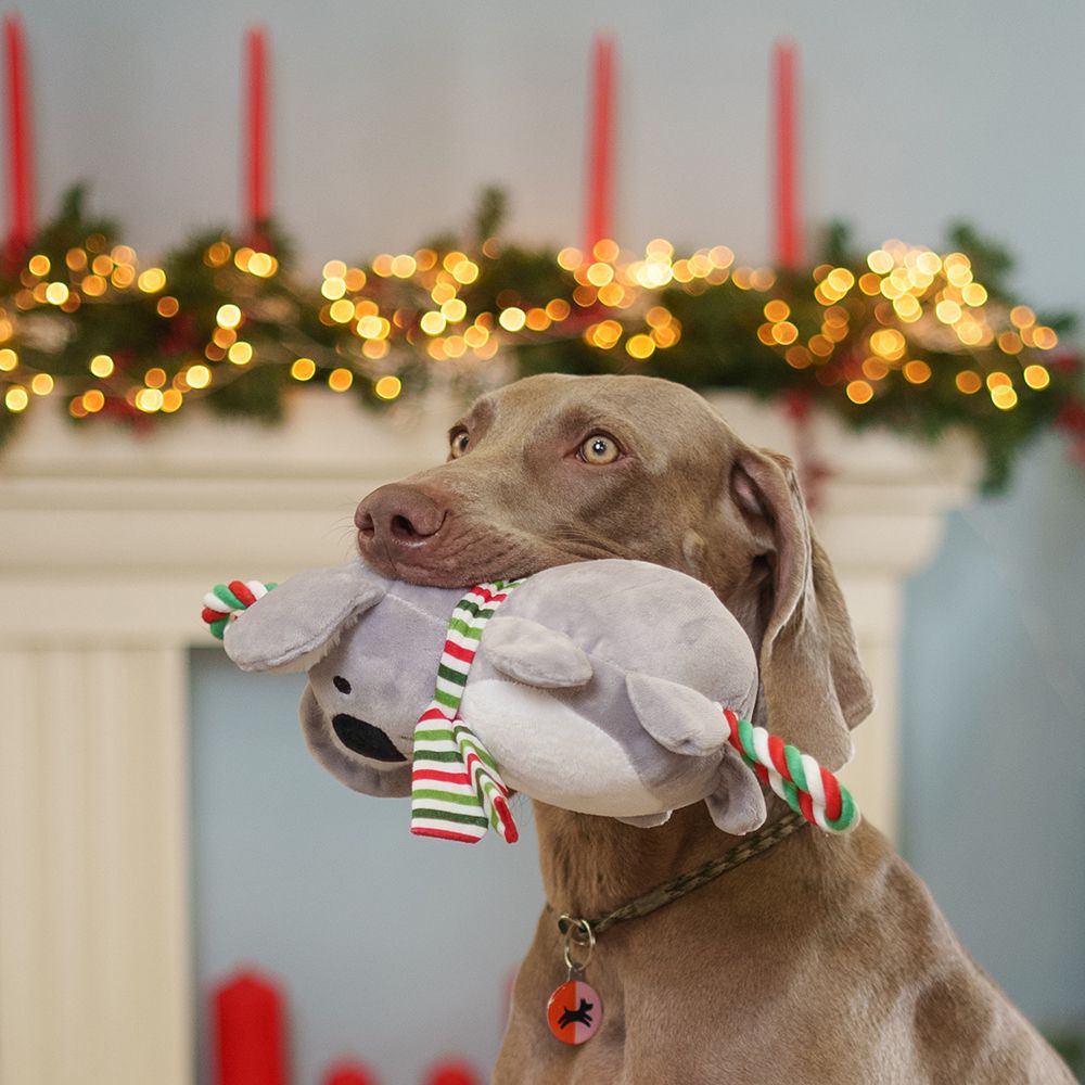 RURRI Игрушка для собак Коала, 35х20х9,5 см RURRI Игрушка для собак Коала, 35х20х9,5 см