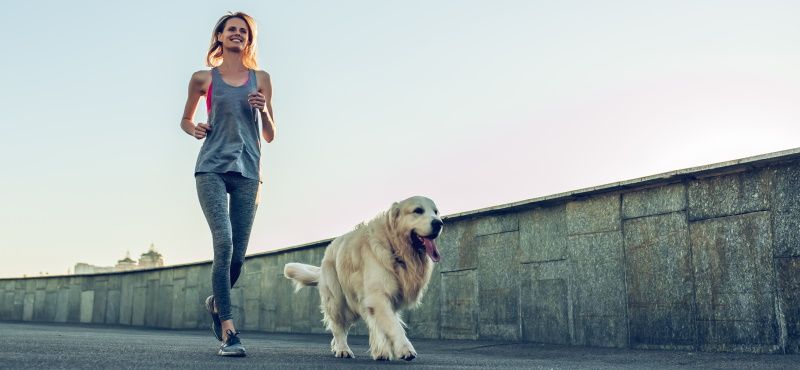 Как правильно бегать с собакой