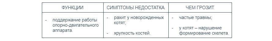 Как выбрать витамины для кошки