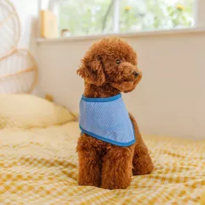 Бандана для собак охлаждающая COOLING-BANDANA 30/43см