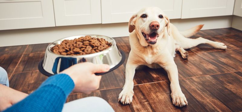 Unica Natura: сухой корм для собак