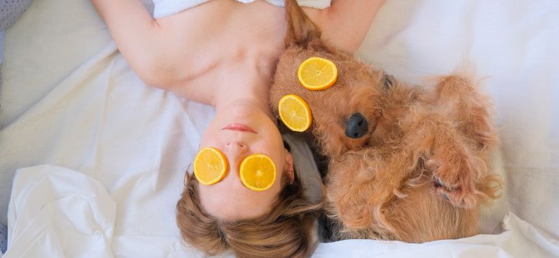 В отеле с питомцем: о чем нужно помнить