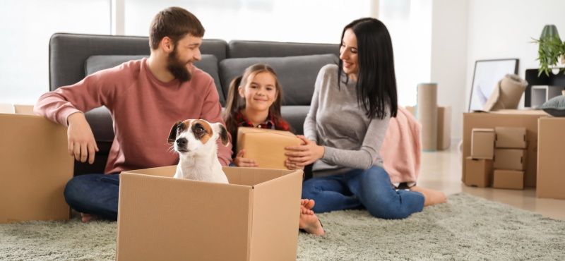 Как переехать с питомцем в новую квартиру
