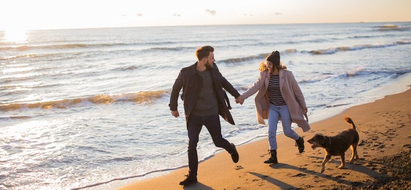 В День Святого Валентина признаемся в любви своим питомцам!