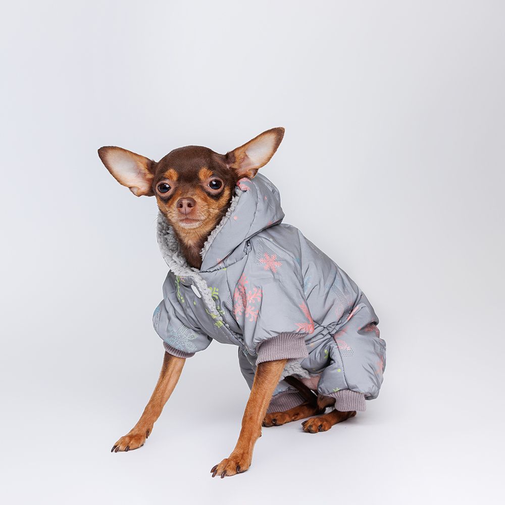Petmax Комбинезон для собак, S, серый со снежинками (девочка)