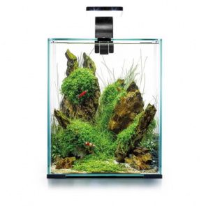 Аквариум Shrimp Set SMART LED D/N 10/10л черный, 20х20х25см