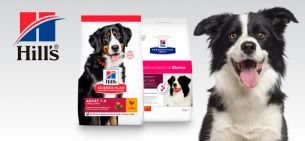 Корм для собак Hill’s: мнение ветеринаров