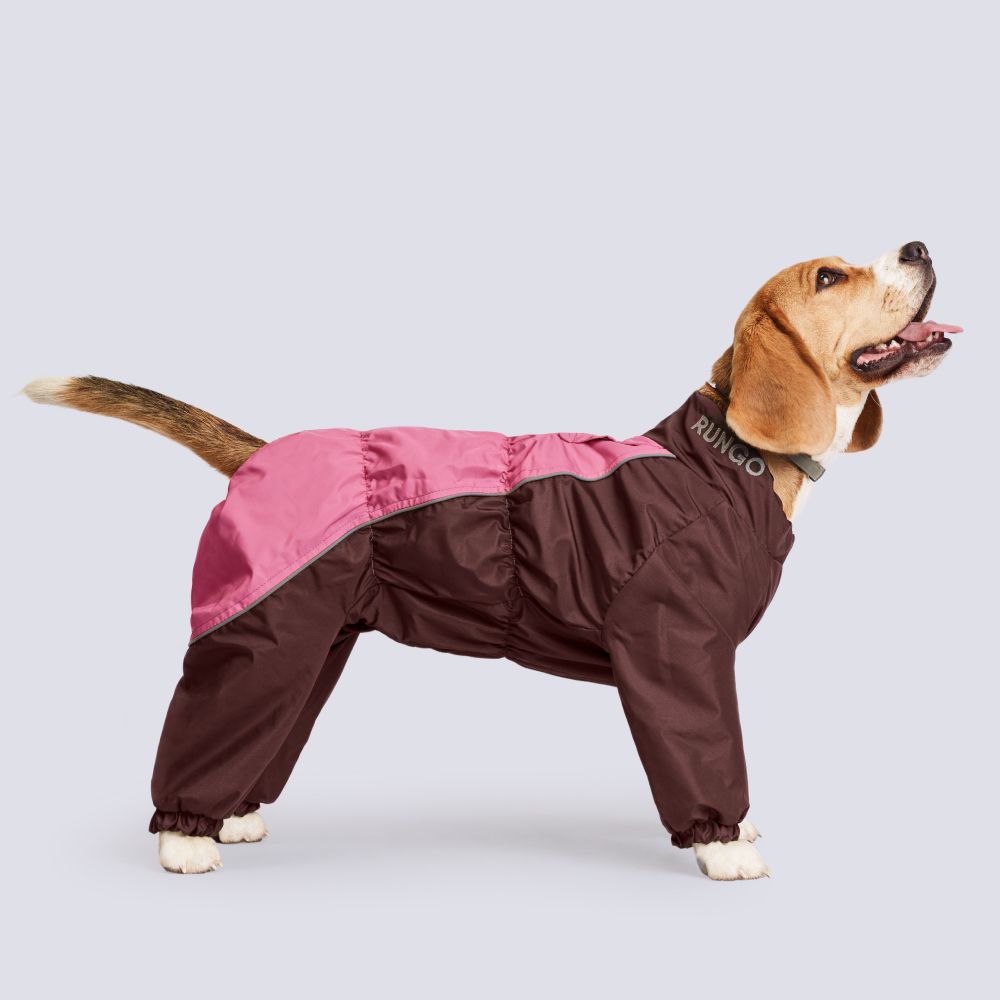Rungo Комбинезон теплый для собак породы бигль, обхват шеи 45 см, обхват груди 68 см, длина спины 39 см, шоколад (девочка) Rungo Комбинезон теплый для собак породы бигль, обхват шеи 45 см, обхват груди 68 см, длина спины 39 см, шоколад (девочка)