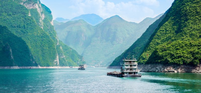 Сиамский водорослеед Сиамский водорослеед