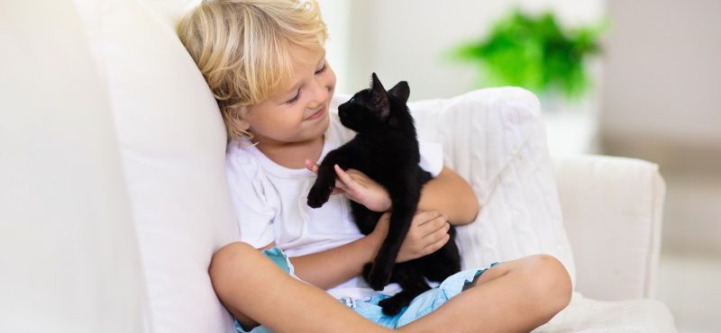 Лучшие породы кошек для детей