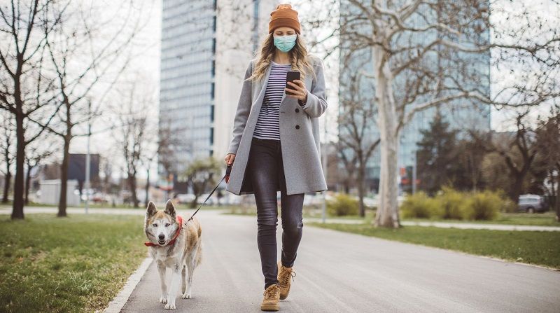 Как выгуливать собак во время карантина