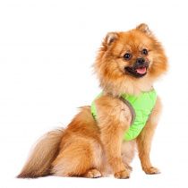 Шлейка зеленая со светоотражающей лентой XS Шлейка зеленая со светоотражающей лентой XS