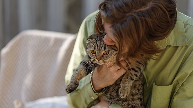 Возвращение домой с дачи и из отпуска