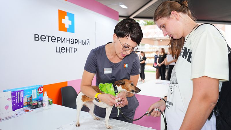 Итоги Четыре Лапы Феста – главного события года