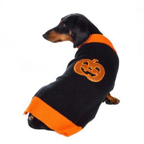  Свитер светящийся Led для собак XL черный (унисекс)