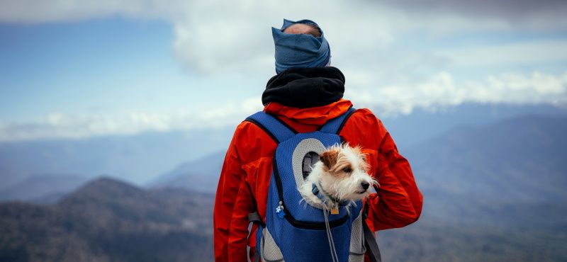 Выбираем рюкзак-переноску Выбираем рюкзак-переноску