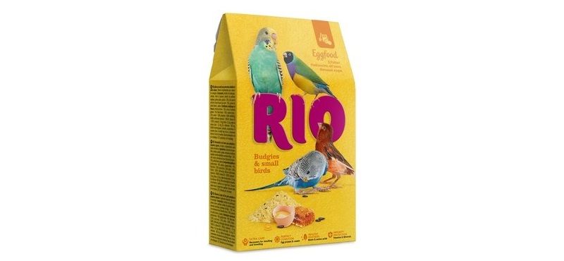 7 компонентов беззаботной жизни волнистого попугая