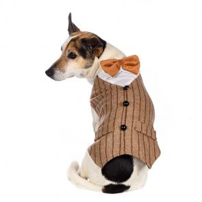 Фрак для собак XS бежевый (унисекс)