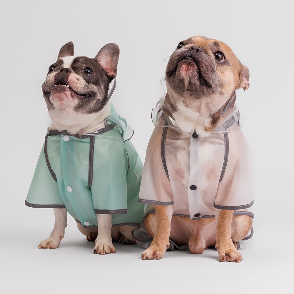 Petmax Дождевик с ножками для французского бульдога, 3XL, прозрачный