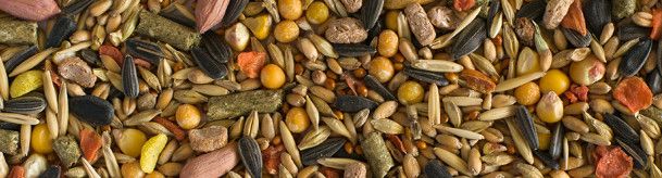 Беззерновые корма для травоядных животных