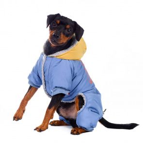 Комбинезон для собак голубой с капюшоном Робот 3XL