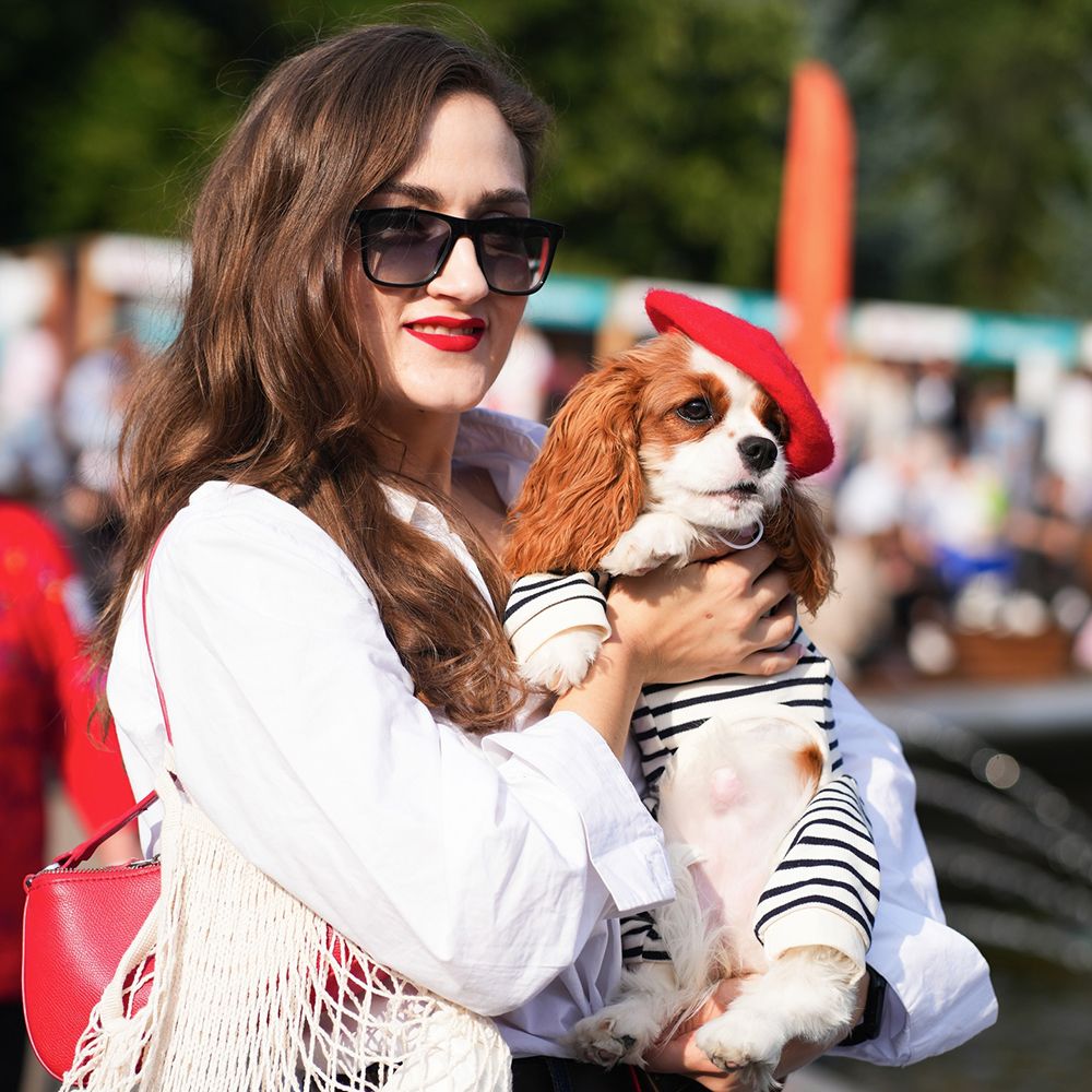 Итоги Четыре Лапы Феста – главного события года