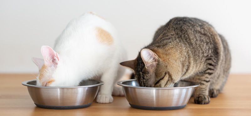 Unica Natura: сухой корм для кошек