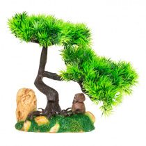 Бонсай 21x14x18