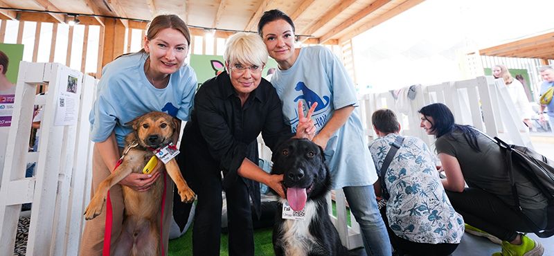 Итоги Четыре Лапы Феста – главного события года