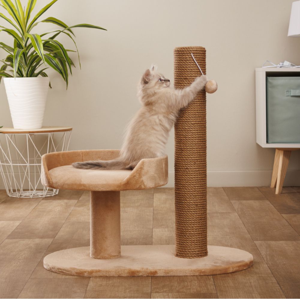 Домоседы Когтеточка Альфа (62х35х62 см) с лежанкой и шариком для игр для кошек, бежевая Домоседы Когтеточка Альфа (62х35х62 см) с лежанкой и шариком для игр для кошек, бежевая