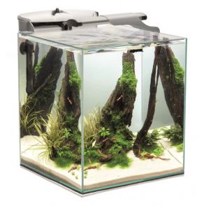 Аквариум FISH & SHRIMP SET DUO белый 49л