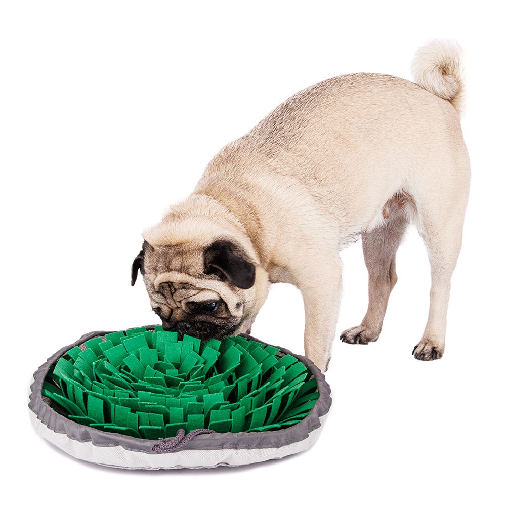 Pet hobby Игровой коврик для собак для поиска лакомств Цветок, 40 см
