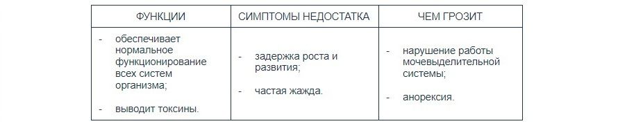 Как выбрать витамины для кошки