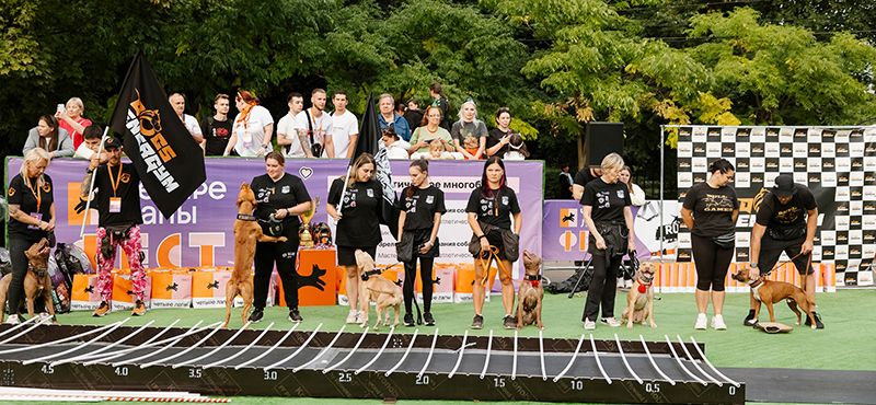 Итоги Четыре Лапы Феста – главного события года