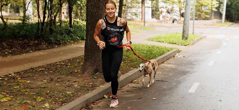 Итоги Четыре Лапы Феста – главного события года