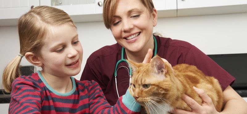 Какие есть ограничения на прием препаратов от паразитов