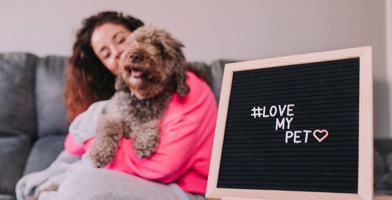 В День Святого Валентина признаемся в любви своим питомцам!