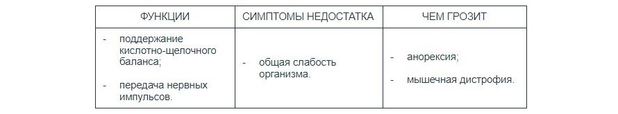 Как выбрать витамины для кошки