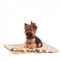 Плед 80х50 см бежевый