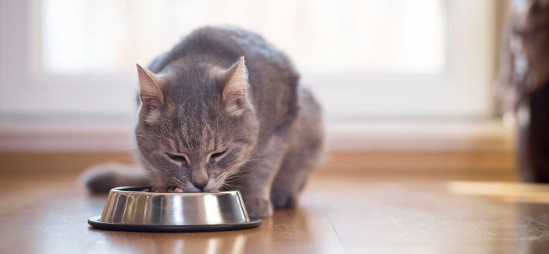 Преимущества линейки Ownat Classic