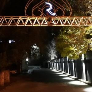 Гостиница Ренион