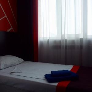 Hotel Viktoriya