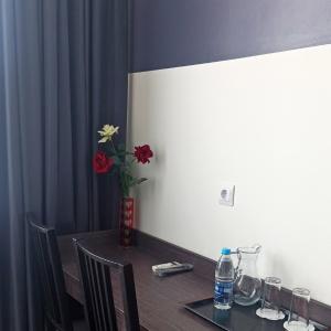 Hotel Viktoriya